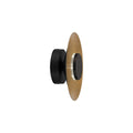Orion