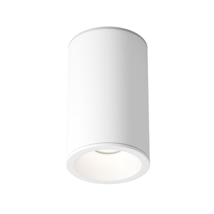 Maytoni C029CL-01-S-W