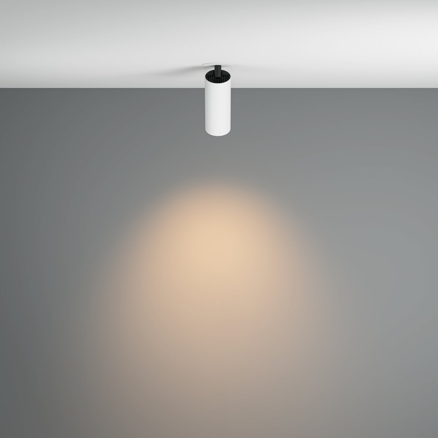 Maytoni C053CL-L12W3K-W-W