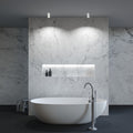 Maytoni C029CL-01-S-W