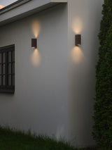 Ruginiu