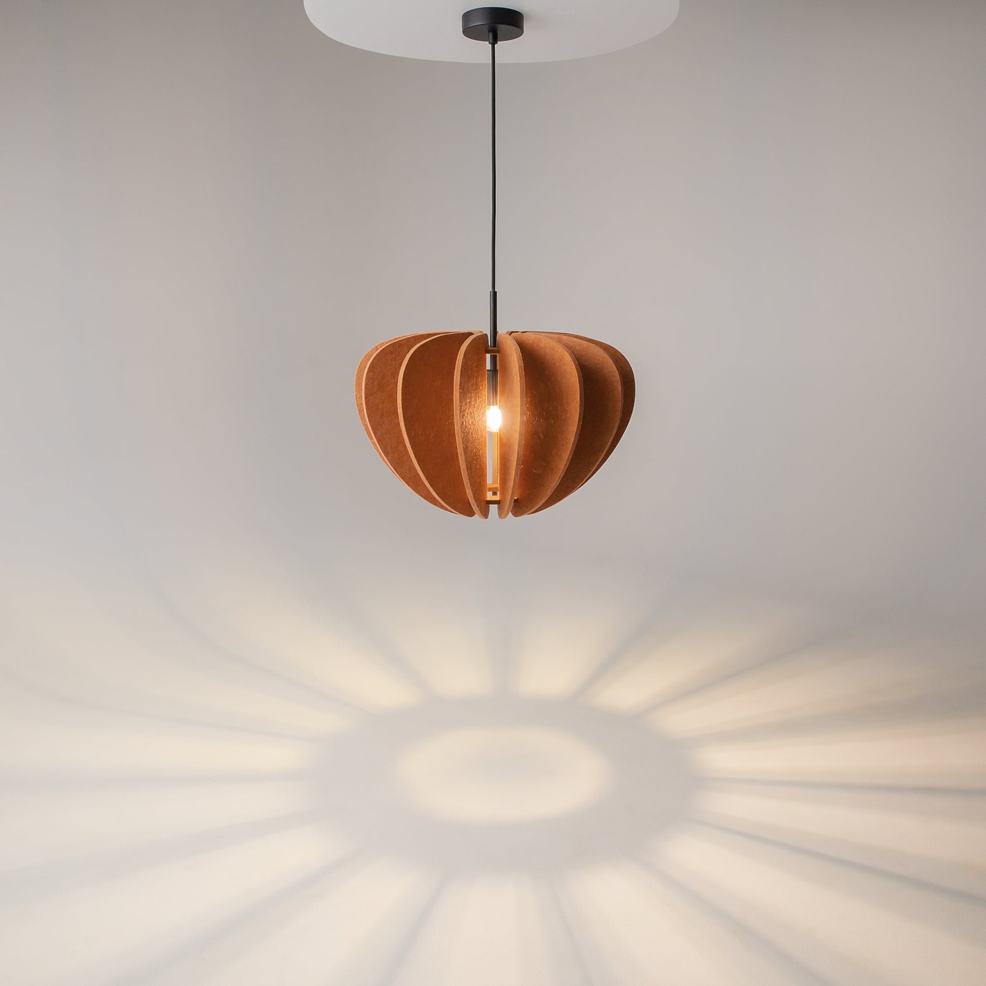 Maytoni MOD398PL-01BR