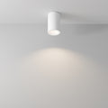 Maytoni C029CL-01-S-W