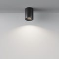 Maytoni C029CL-01B