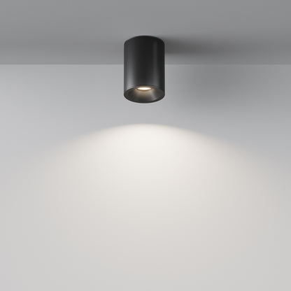 Maytoni C029CL-01B
