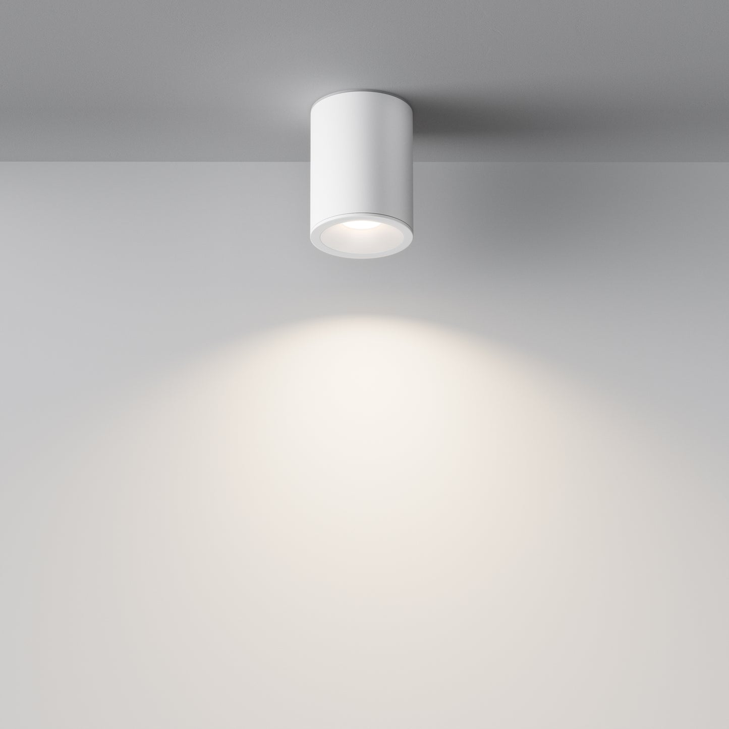 Maytoni C029CL-01W