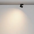 Maytoni C220CL-12W3K-B