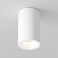 Maytoni C029CL-01-S-W