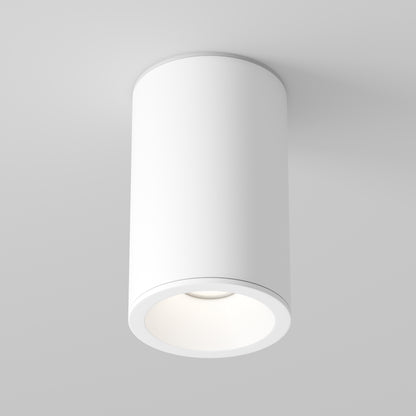 Maytoni C029CL-01-S-W