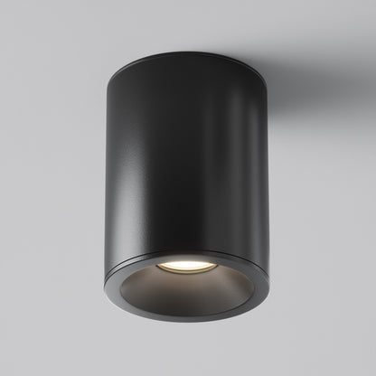 Maytoni C029CL-01B