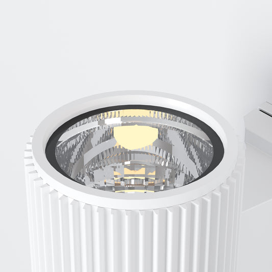 Maytoni O419WL-01W